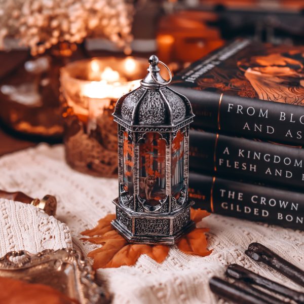 From Blood and Ash Inspired Lantern For Cheap - Image 5